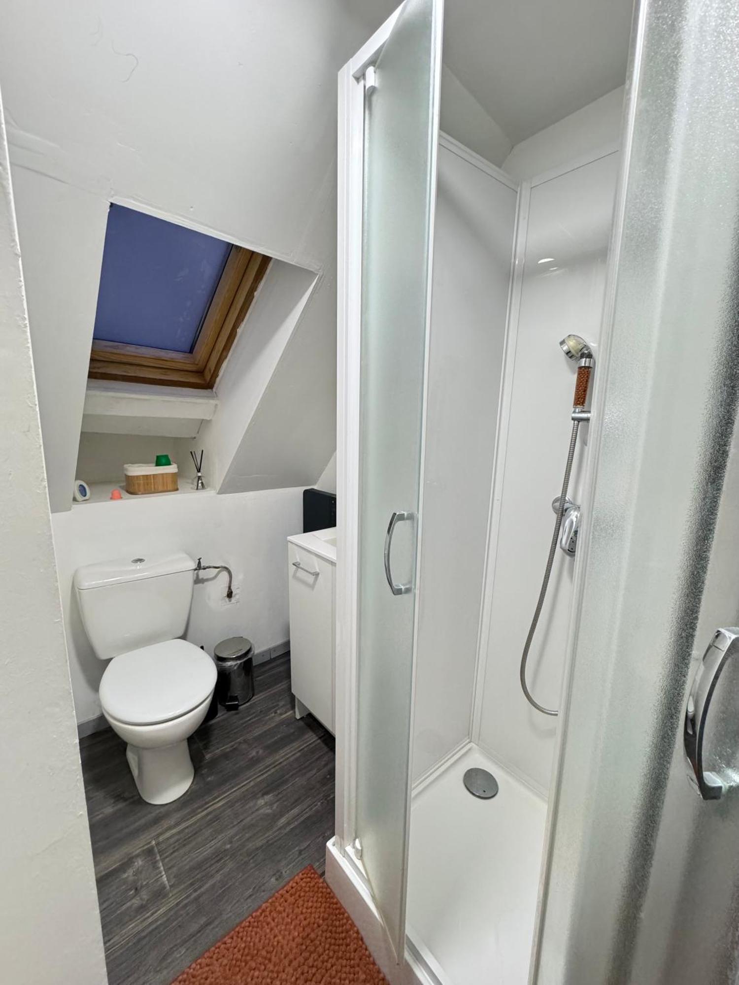 La Douceur - Hypercentre Pieton De Troyes - Cozy Appartement Buitenkant foto